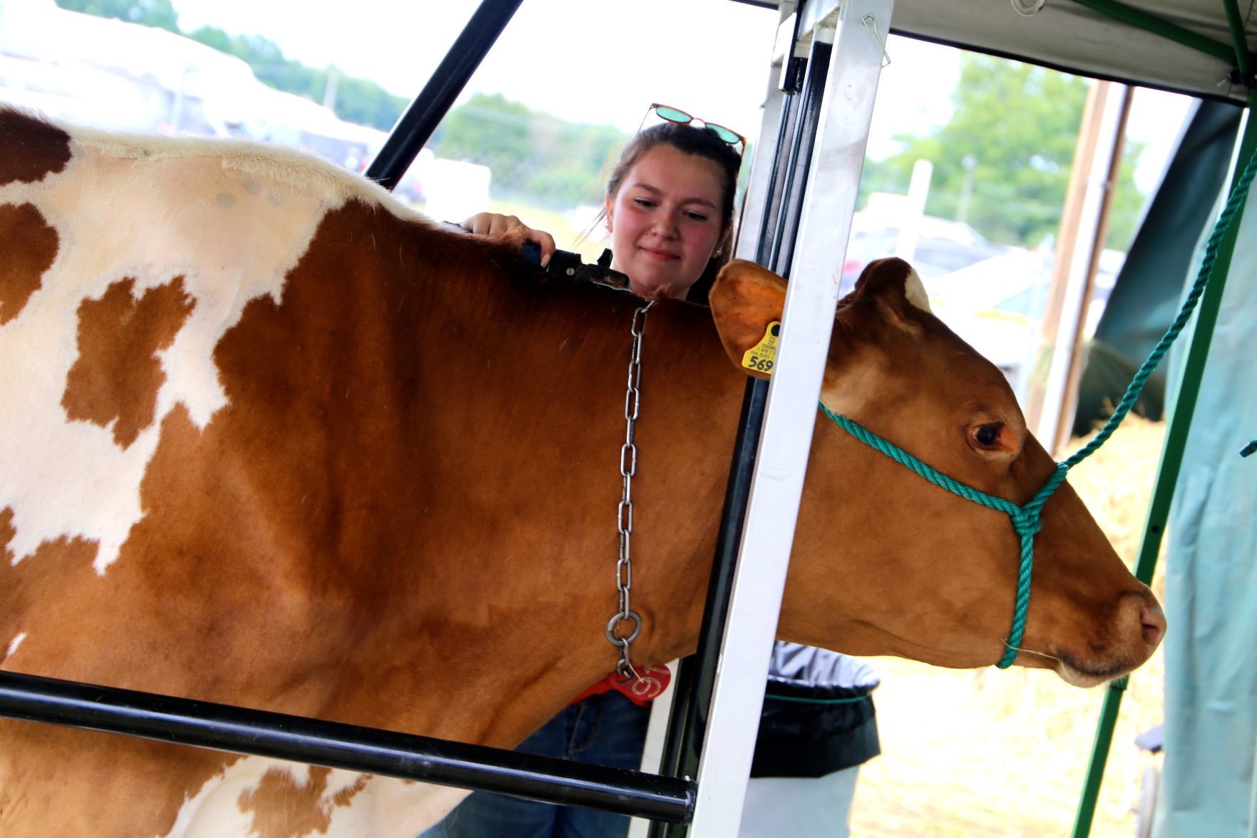 Washington County Fair